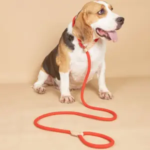 guia ajustável de nylon para cães