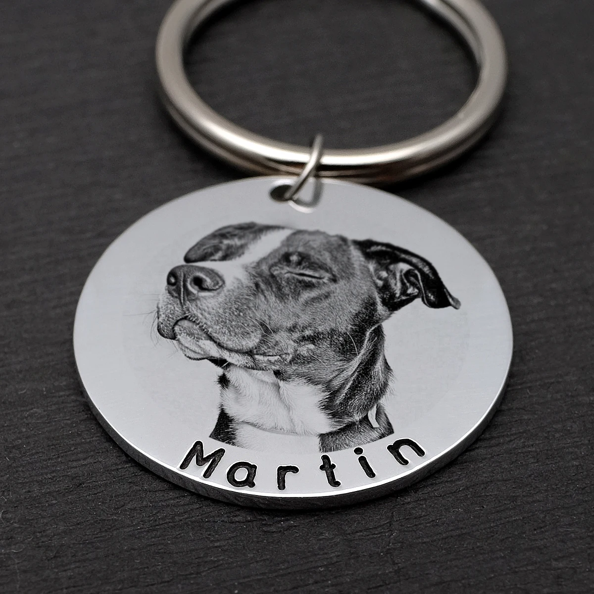 Placa de Identificação Personalizada para Cães com Foto para Coleira - Imagem 4