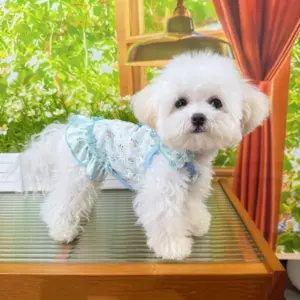 vestido para cães de fibra de poliéster