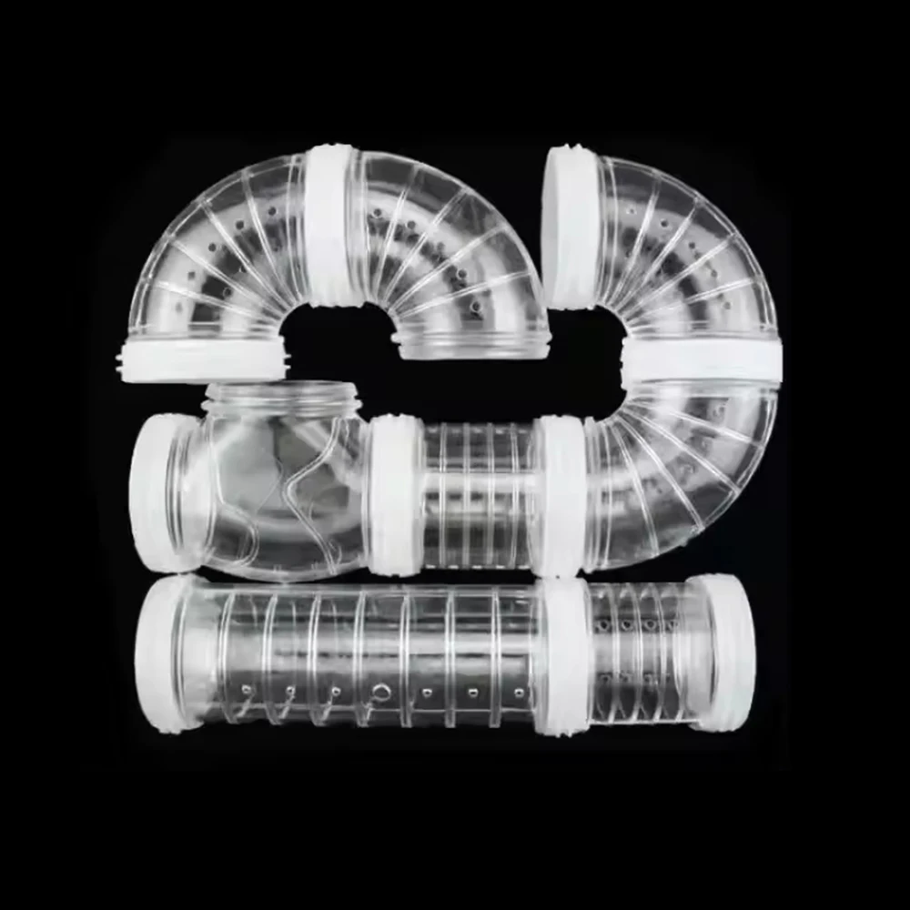 Túnel Externo para Hamster e Pequenos Pets de 5,5 cm - Image 6