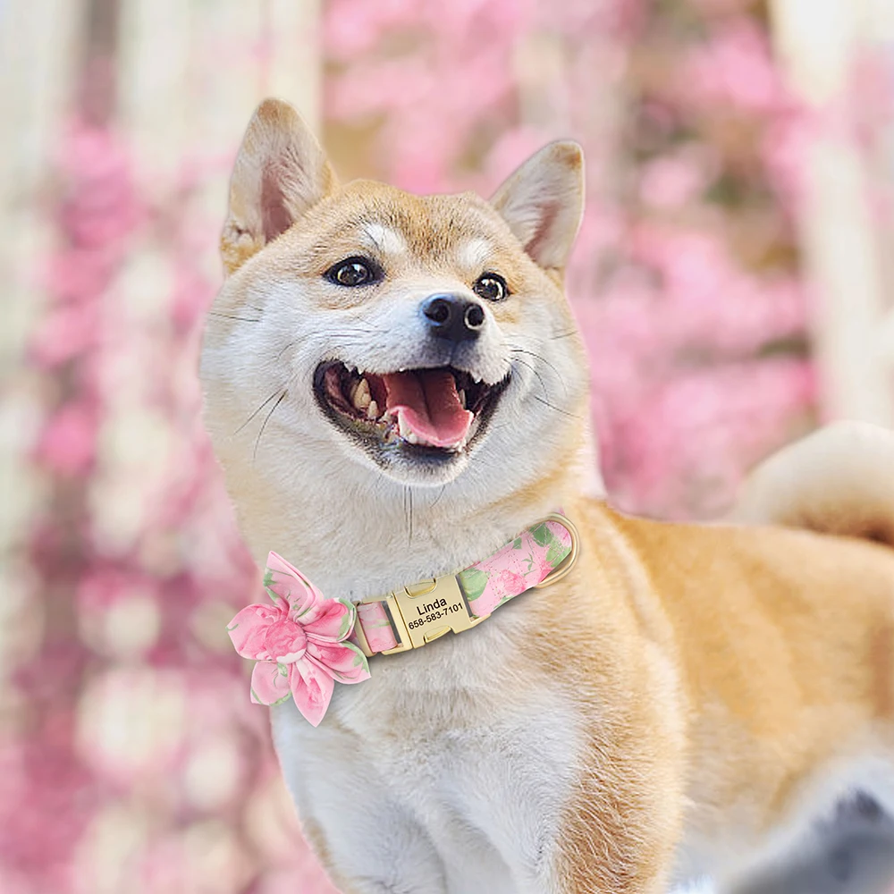 Coleira de Nylon para Cães com Gravação Grátis e Ajustável - Image 5