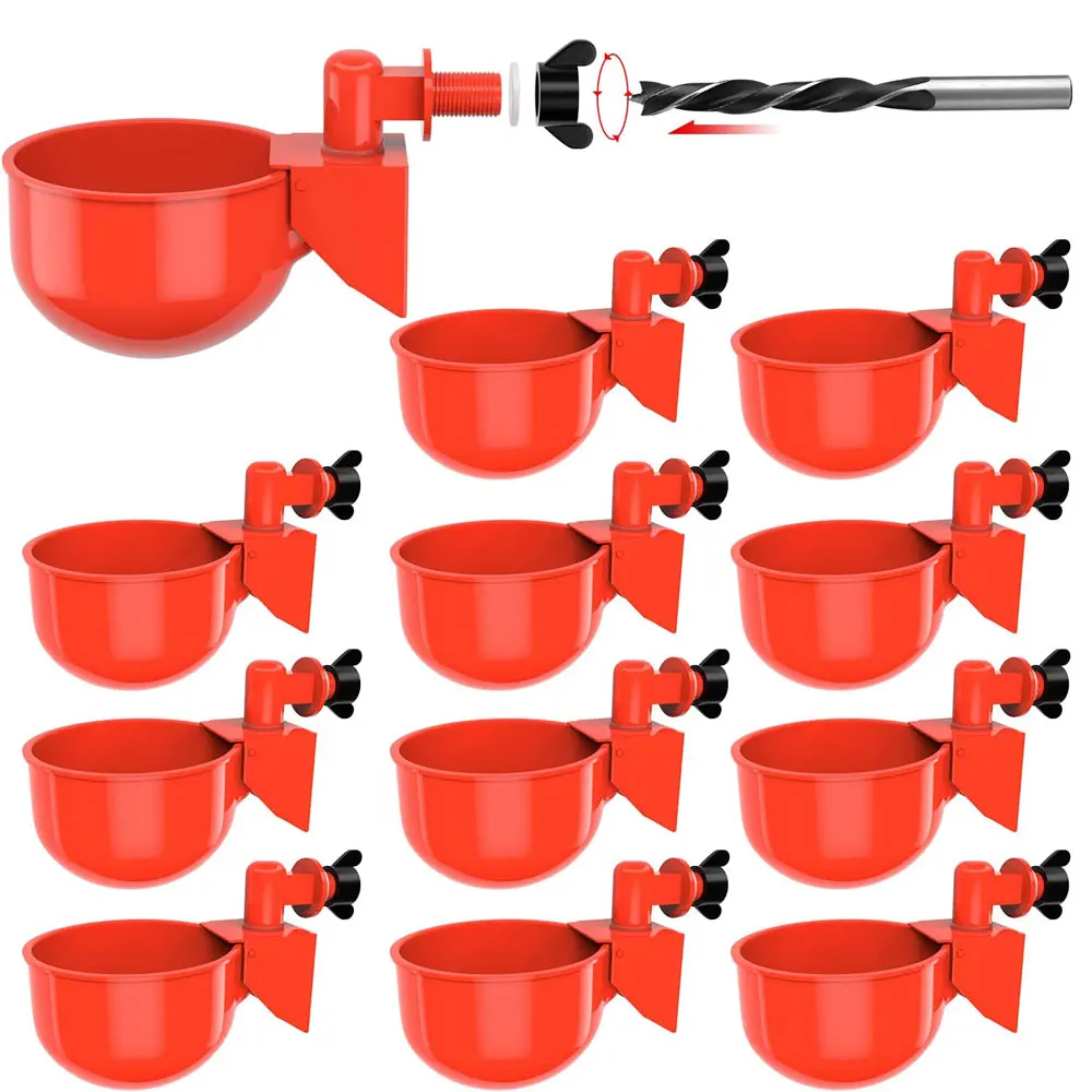 alimentador automático para aves