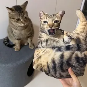 almofada 3d de pelúcia para cães e gatos