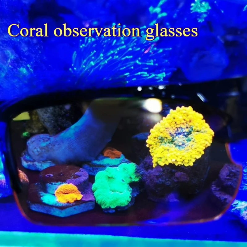 Óculos de Visualização de Coral para Aquário com Lentes Ajustáveis - Imagem 4