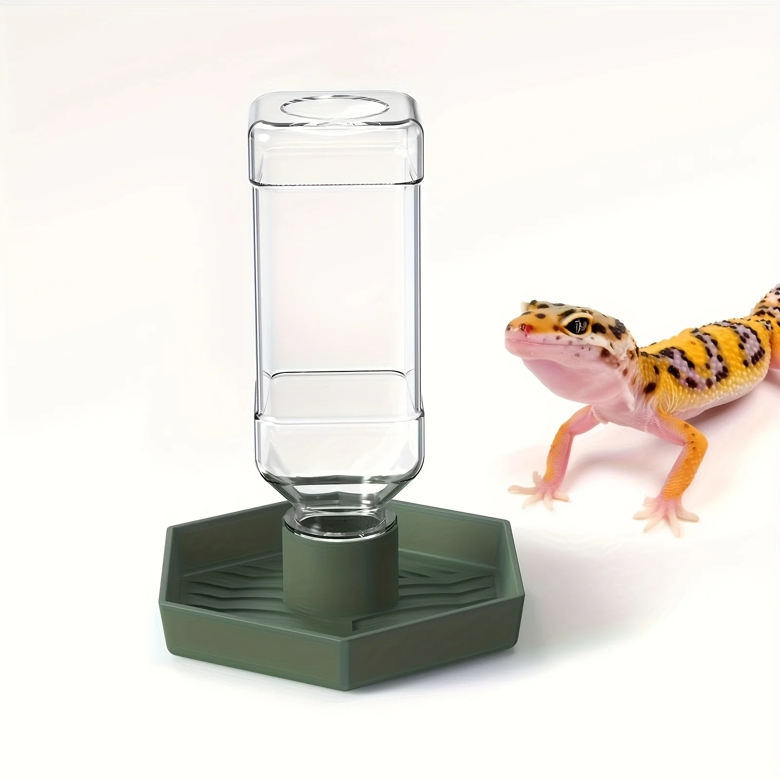 Alimentador Automático para Répteis Pequenos - Imagem 6