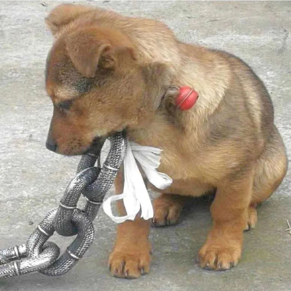 Coleira de Plástico para Cães e Gatos, Corrente Simulando Ferro - Imagem 2