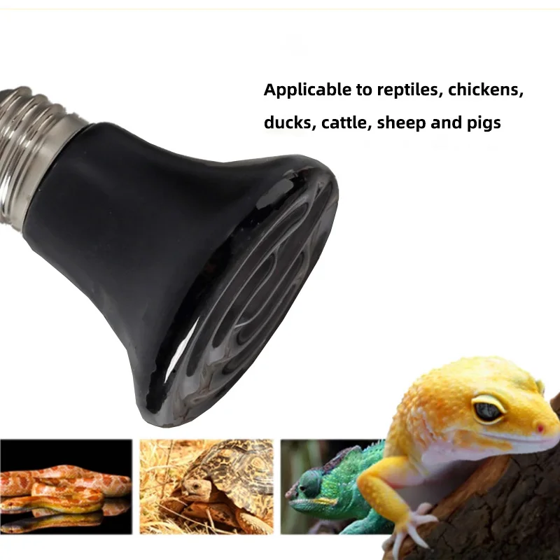 Lâmpada de Aquecimento para Répteis e Aves 25W 220V Sem Luz - Imagem 6