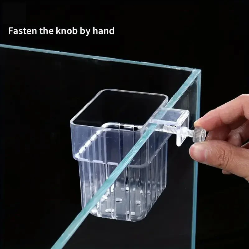 Cesto Transparente para Plantas de Aquário Suspenso para Decoração - Imagem 3