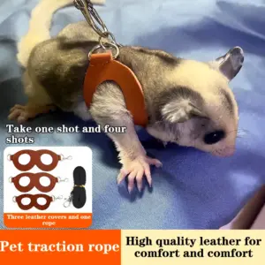 coleira peitoral para hamster
