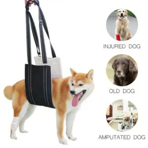 arnês de suporte para cães com alças ajustáveis
