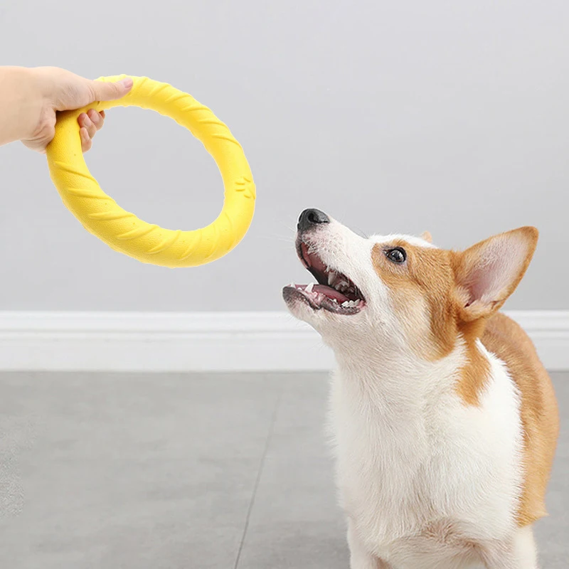 Disco Voador para Cães Flutuante Anti-Mordida para Treinamento - Imagem 5