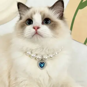 coleira de pérolas para cães e gatos