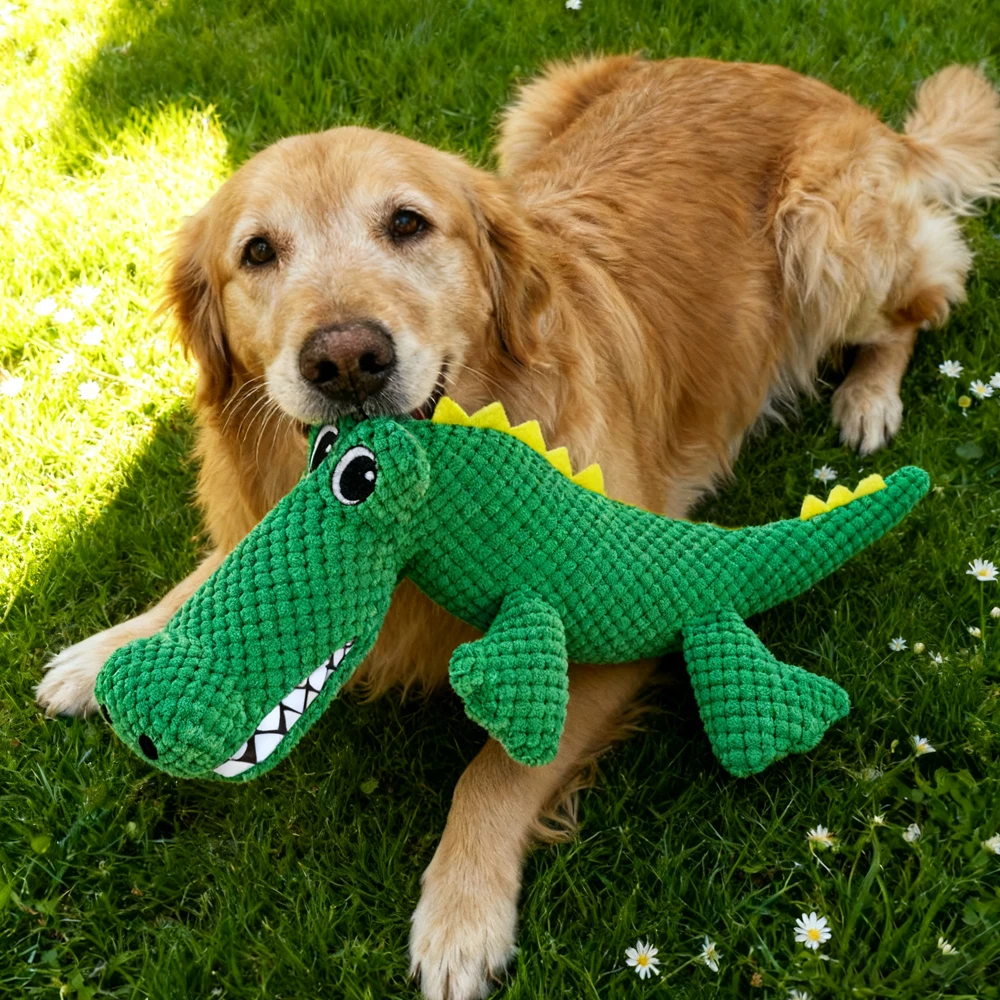 Brinquedo de Pelúcia para Cães e Gatos Dinossauro com Som e Tecido Duplo - Imagem 3