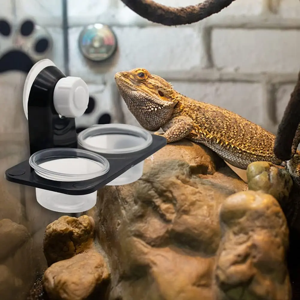 Comedouro para Répteis com Ventosa Destacável para Terrário - Imagem 6