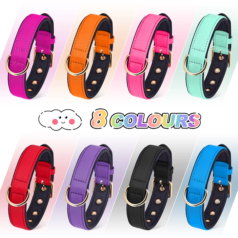 Coleira de Nylon para Cães Pequenos e Médios Acolchoada - Image 2