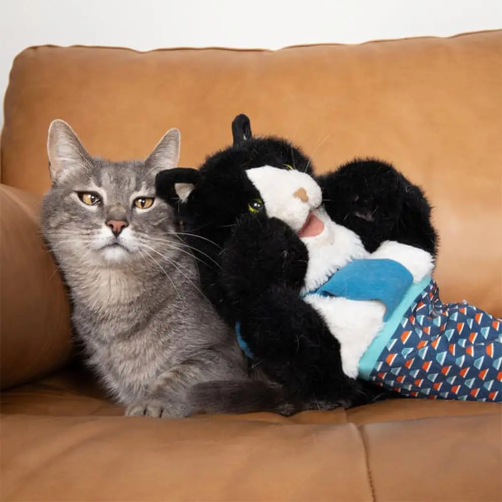 luva de brinquedo para gatos