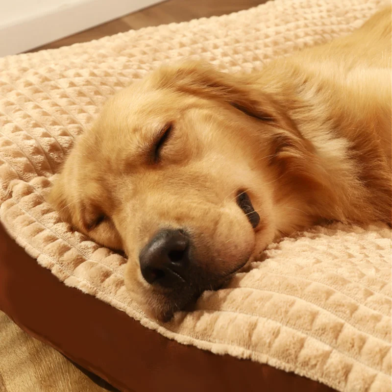 Cama Sofá Hoopet para Cães de Poliéster com Capa Removível - Image 4