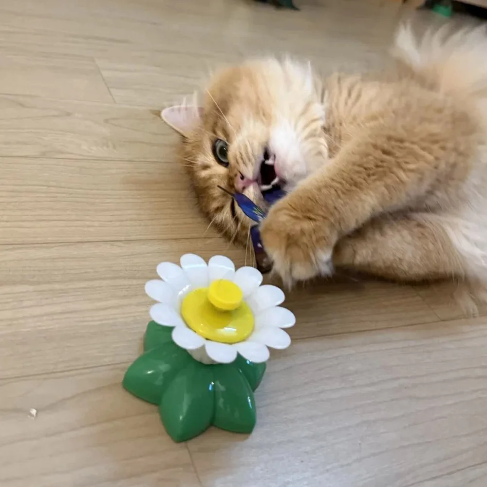 Brinquedo Elétrico para Gatos Borboleta Giratória de Plástico com Rotação Automática - Image 2