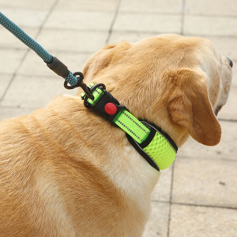 Coleira para Cães de Nylon Ajustável com Faixa Refletiva - Imagem 4