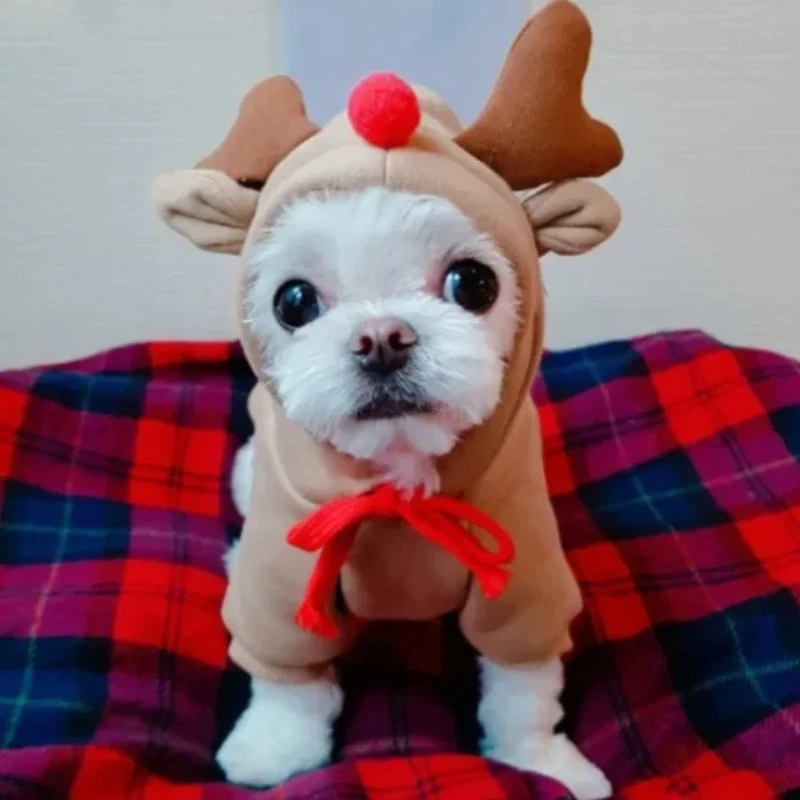 Moletom para Cães de Poliéster com Capuz para Inverno - Imagem 3