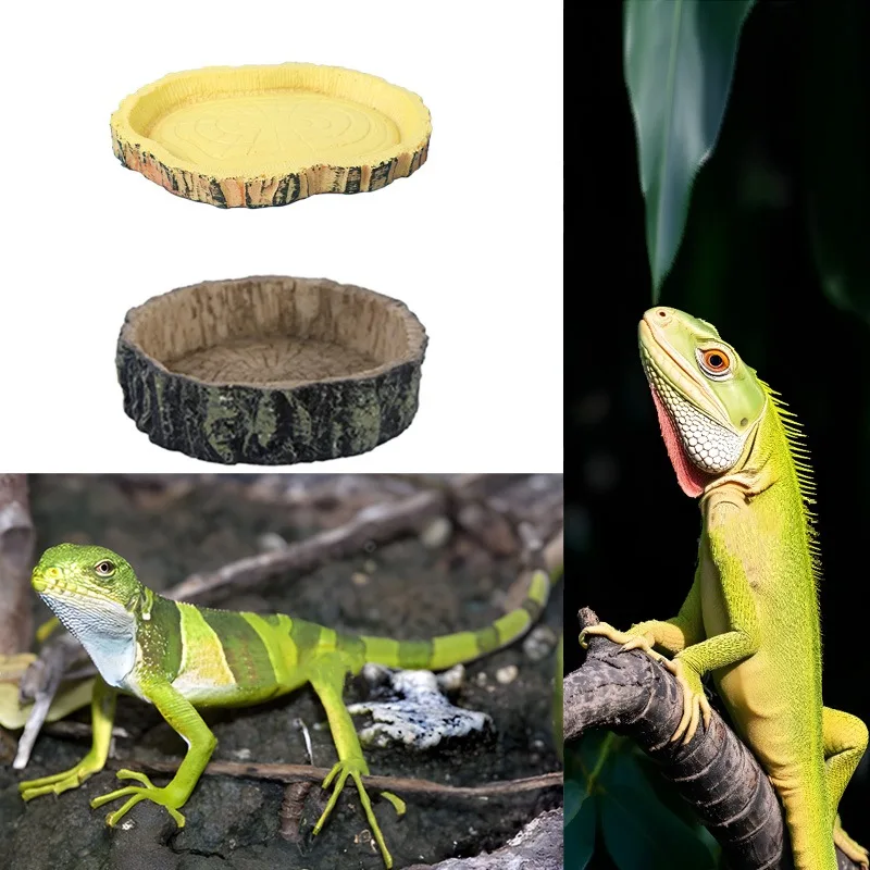 Tigela para Répteis de Resina 10 cm para Comida e Água - Imagem 6