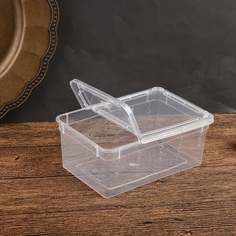 Caixa de Criação para Répteis Transparente 15x10x6,5cm - Imagem 6