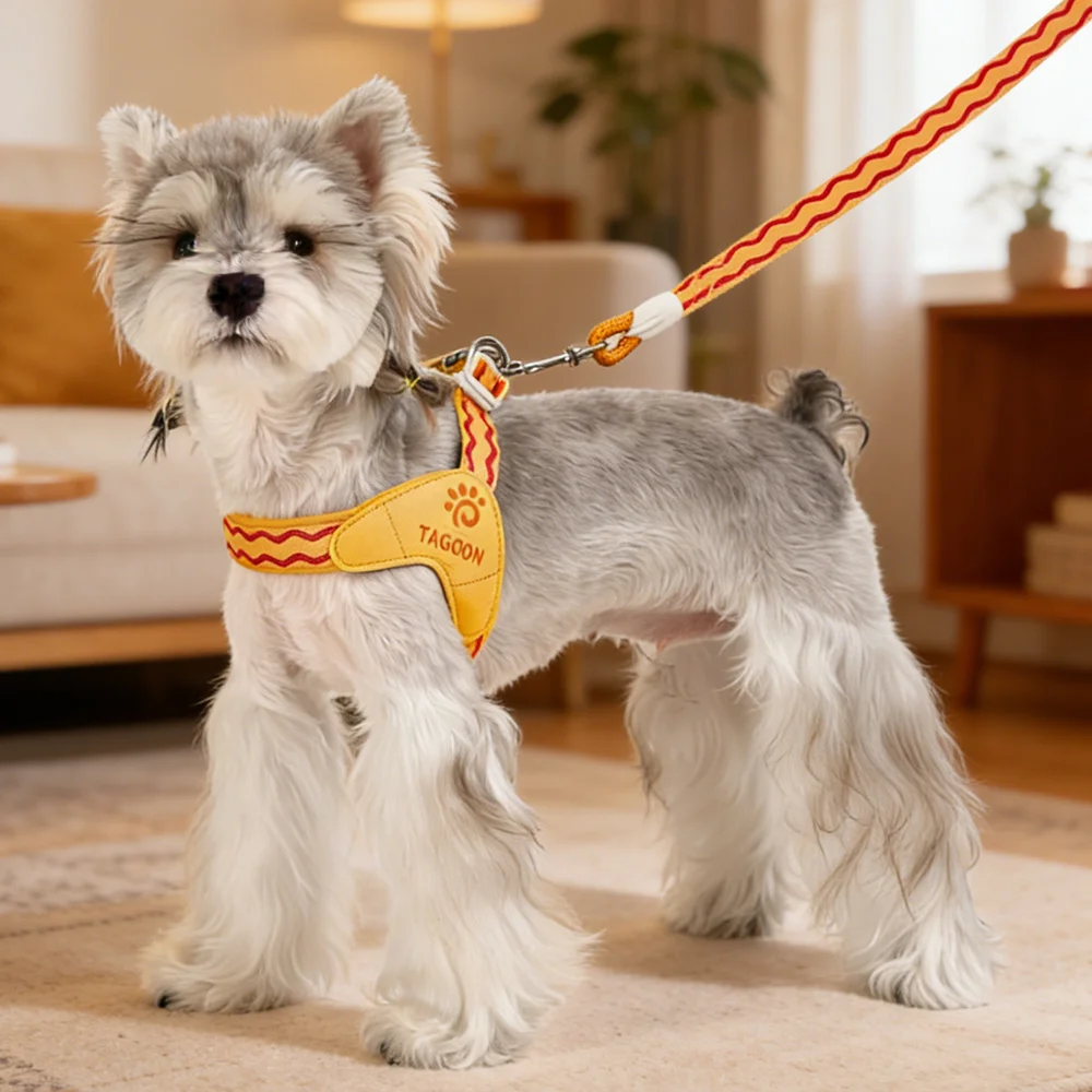 Coleira Peitoral de Malha para Cães Pequenos Ajustável para Passeio - Imagem 3