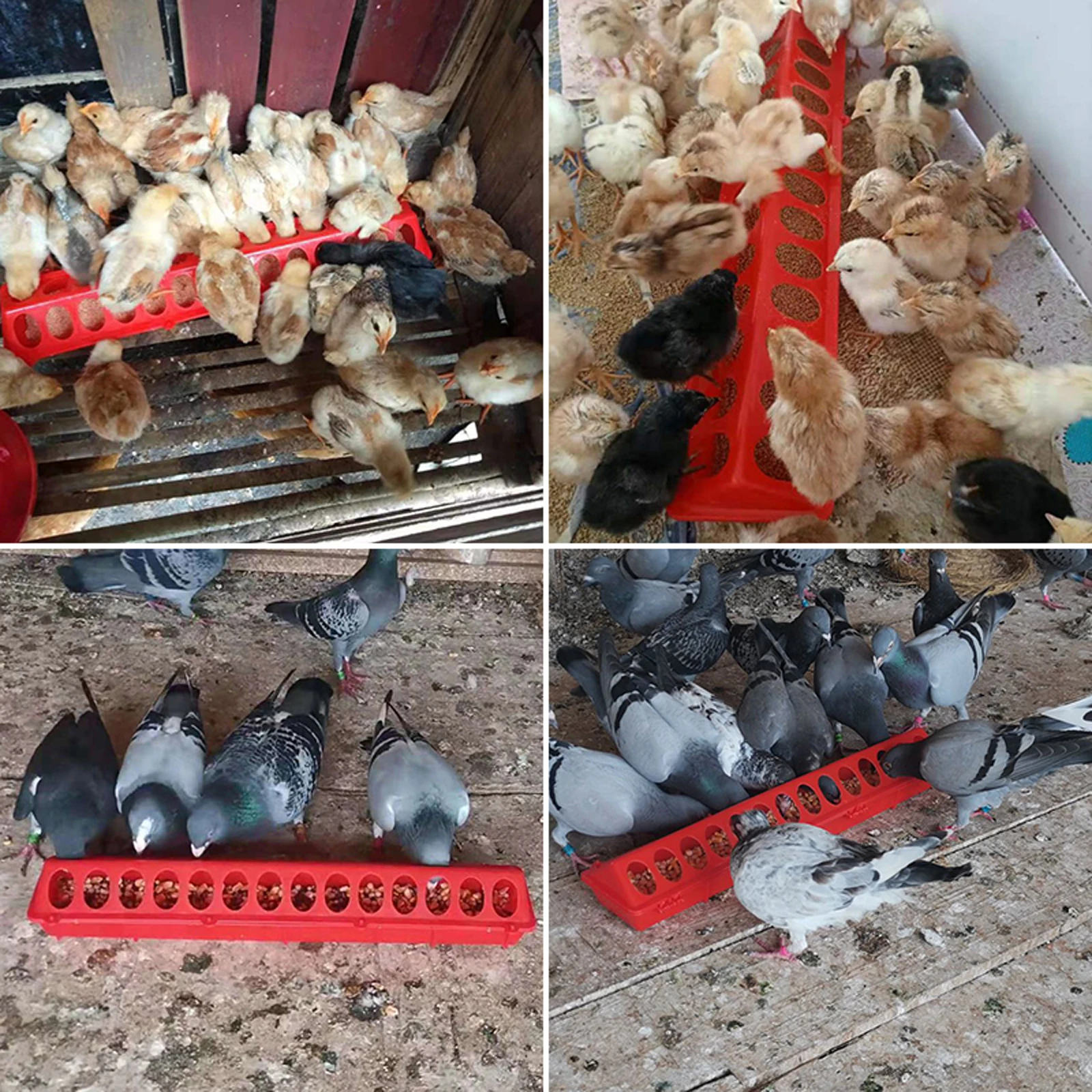 Comedouro para Aves Plástico com 22 Furos e 40 cm - Imagem 3