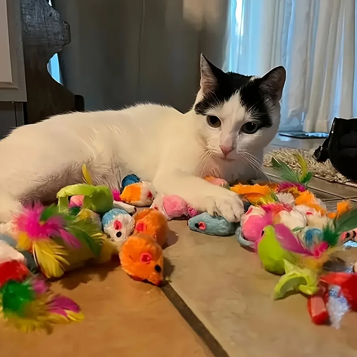 Kit de Brinquedos para Gatos com 56 Peças: Variedade para Diversão - Imagem 3