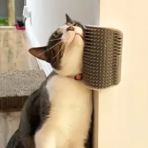 arranhador de canto para gatos