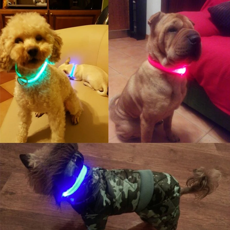 Coleira de LED para Cães e Gatos de Nylon Ajustável Brilha no Escuro - Imagem 2