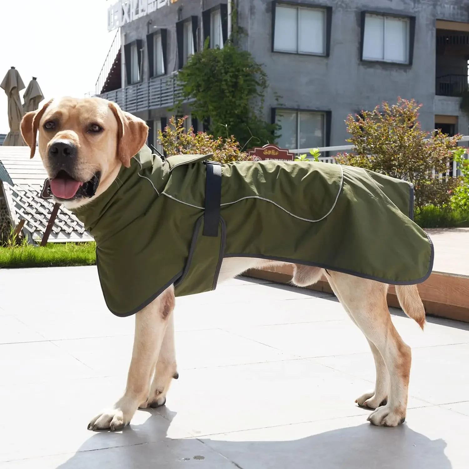 Colete para Cães Impermeável Ajustável com Faixa Refletiva - Image 2