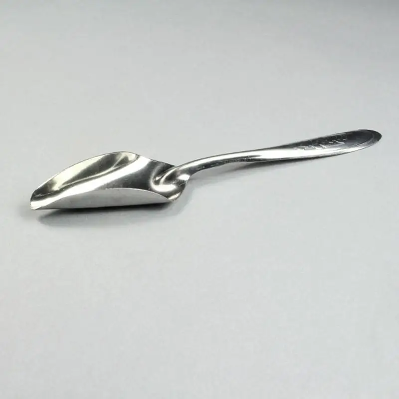 Colher de Alimentação para Pássaros de Aço Inoxidável 12 cm - Imagem 5