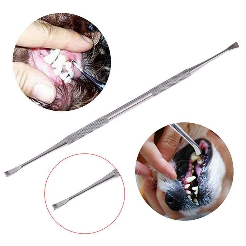 Kit de Limpeza Dental para Cães em Aço Inoxidável 2 Peças - Image 2