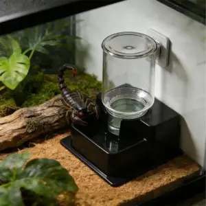 bebedouro automático para répteis