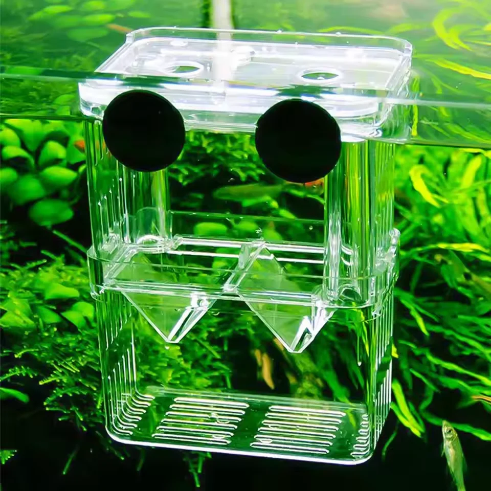 Caixa de Isolamento para Peixes de Aquário Betta Acrílico - Imagem 3