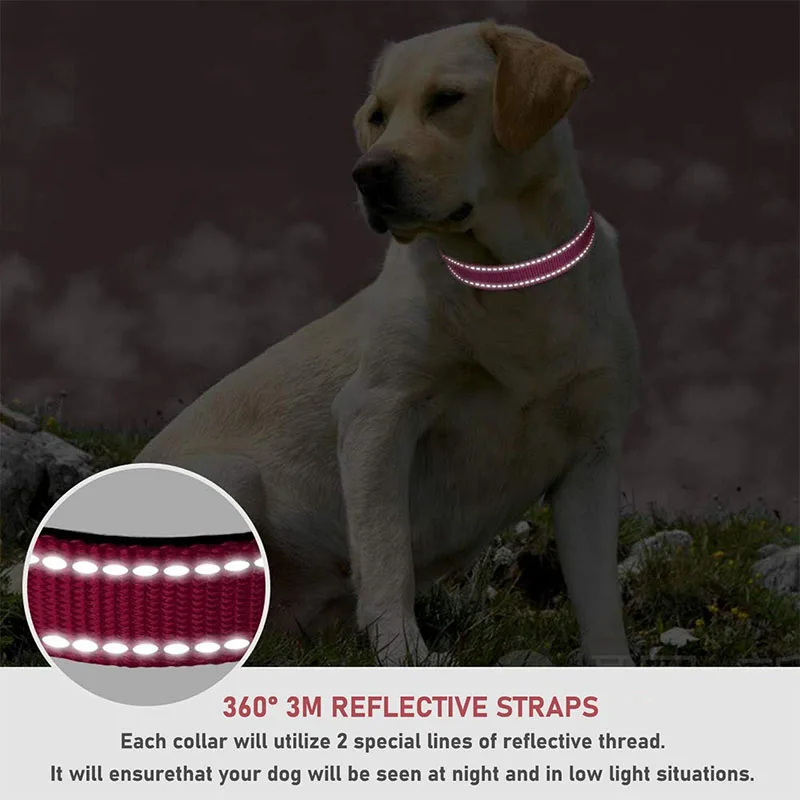 Coleira Refletiva para Cães de Nylon com Fivela de Engate Rápido - Imagem 6
