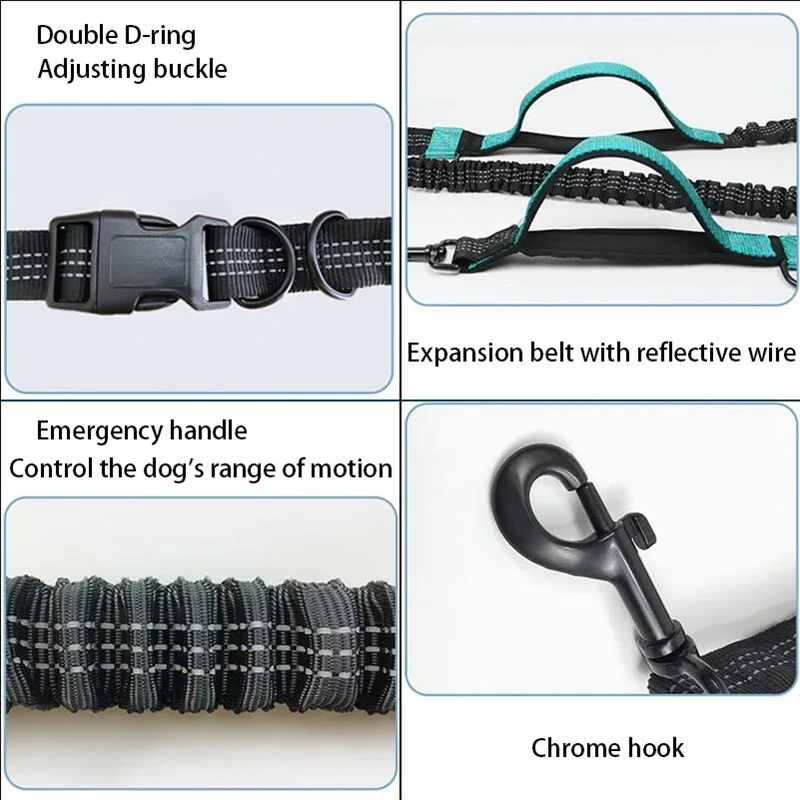 Coleira Retrátil para Cães de Nylon com Dupla Elasticidade e Faixa Refletiva - Imagem 6