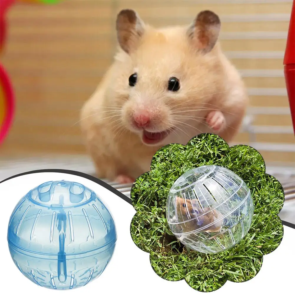 Roda de Exercício para Hamster de Acrílico Transparente 10 cm - Image 3