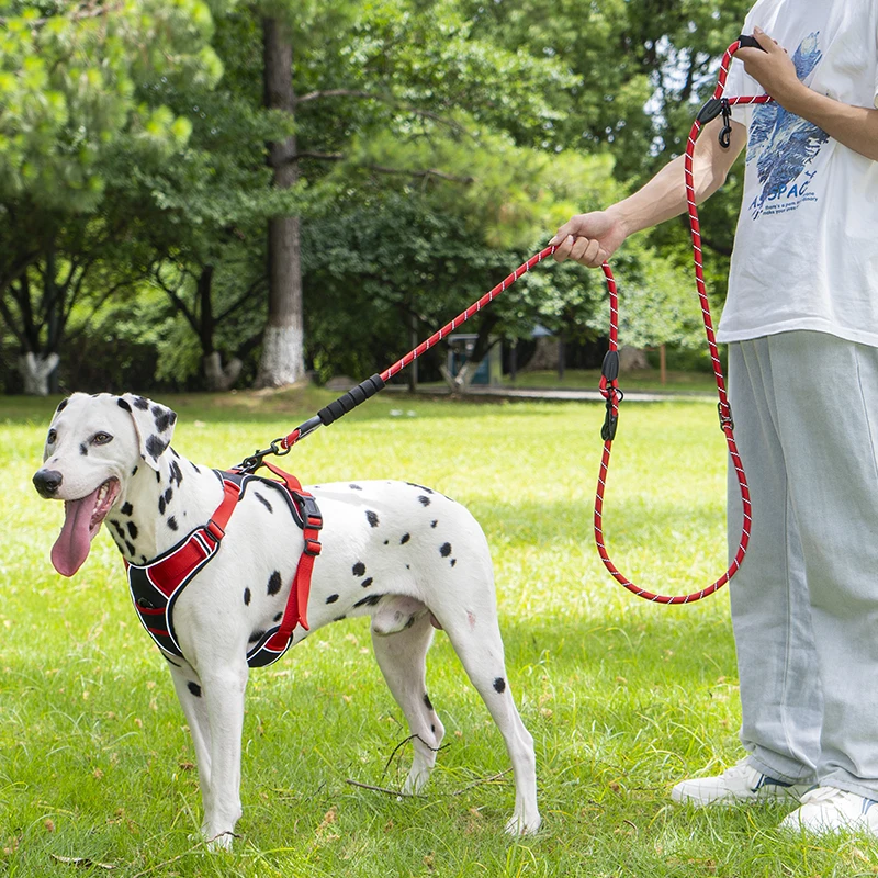 Coleira de Corda para Cães Grandes com Alça Acolchoada 2,4m - Imagem 4