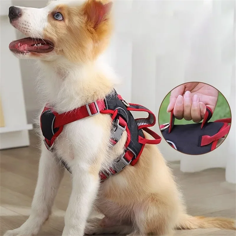 Colete de Segurança para Cães Refletivo com Alça e Fecho de Trava - Imagem 5