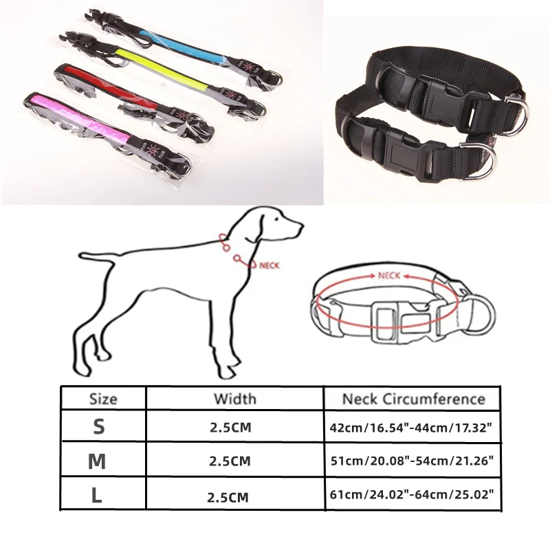Coleira LED para Cães Ajustável USB Recarregável 2,5 cm de Largura - Imagem 6