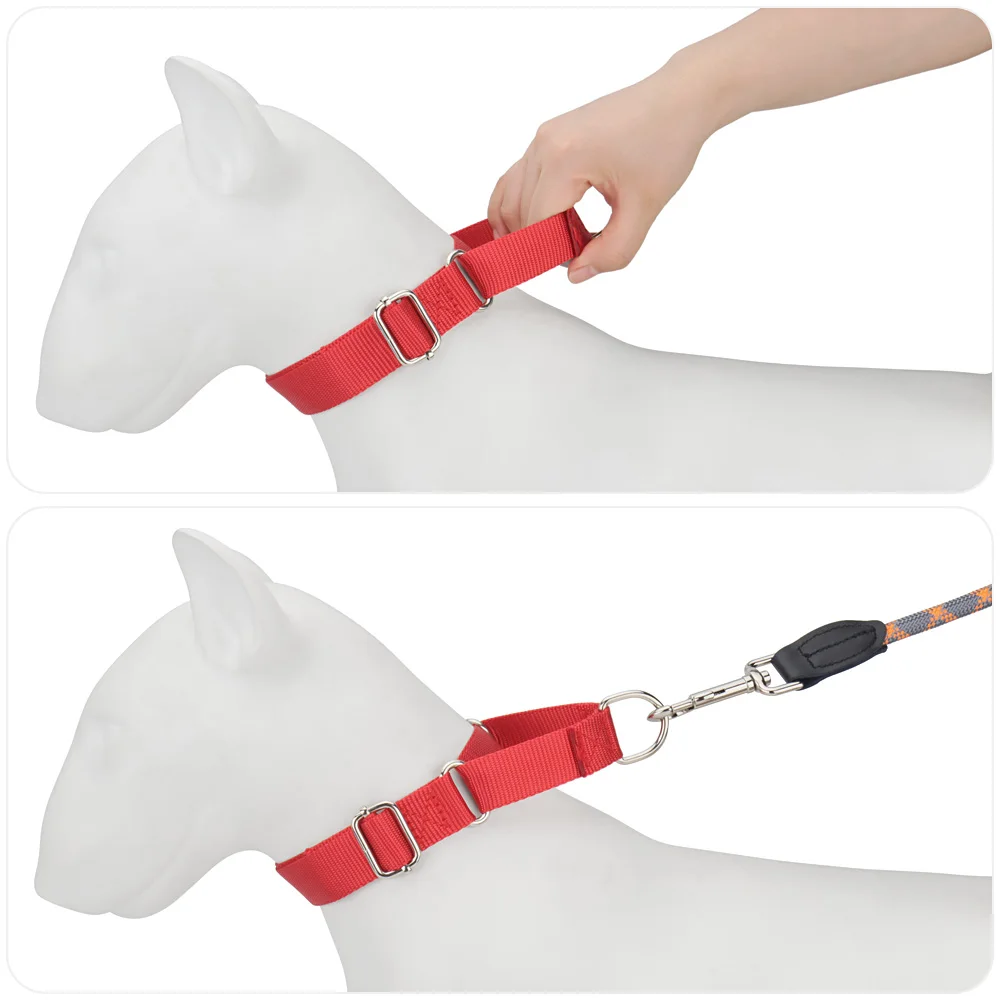 Coleira Martingale para Cães de Nylon Ajustável com Fivela de Metal - Imagem 5
