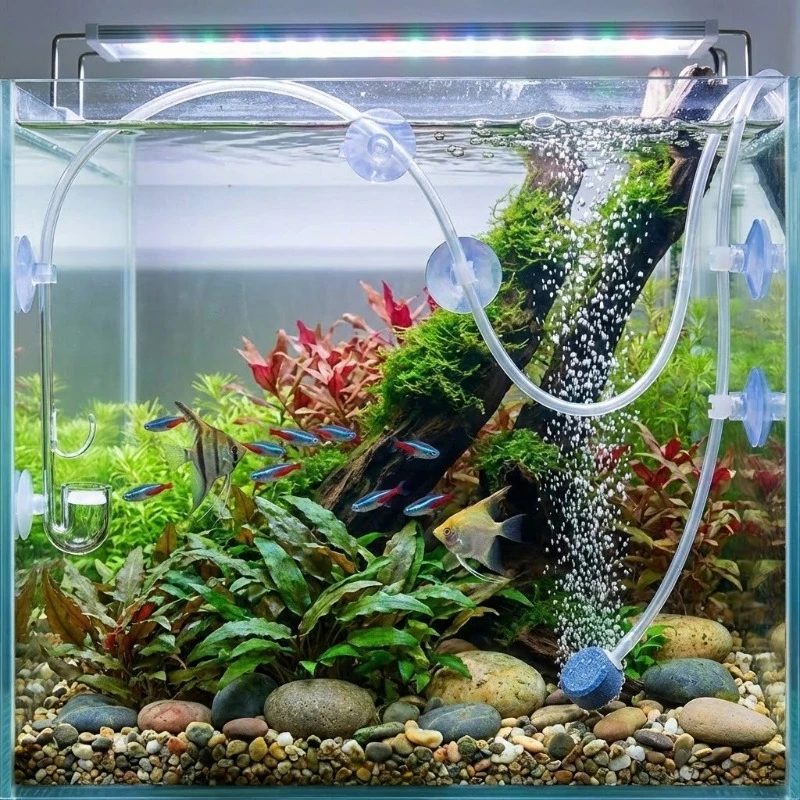 Ventosas para Aquário 2,5 cm para Tubos de 4/6 mm com Clipes Removíveis - Imagem 5