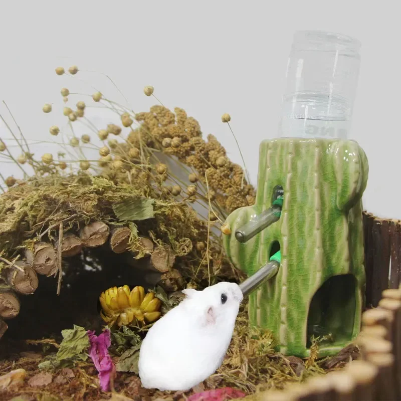 Casa de Cerâmica Cacto para Hamster, Rato e Pequenos Animais - Imagem 2
