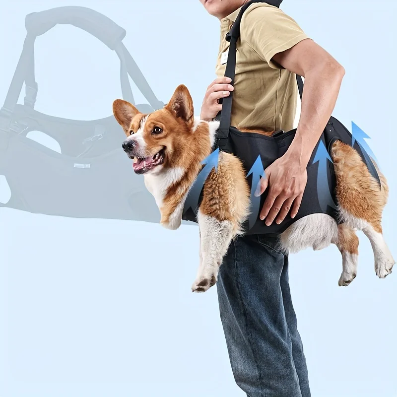 Arnês de Elevação para Cães com Suporte Ajustável - Imagem 2