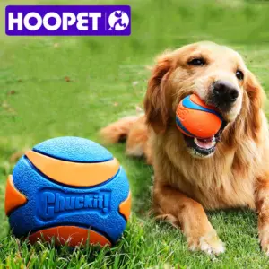 brinquedo bola para cães com som