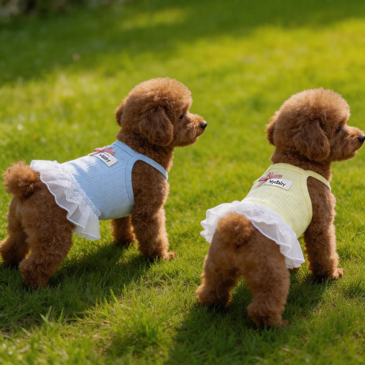 Roupa de Verão para Cães Pequenos Respirável - Image 2