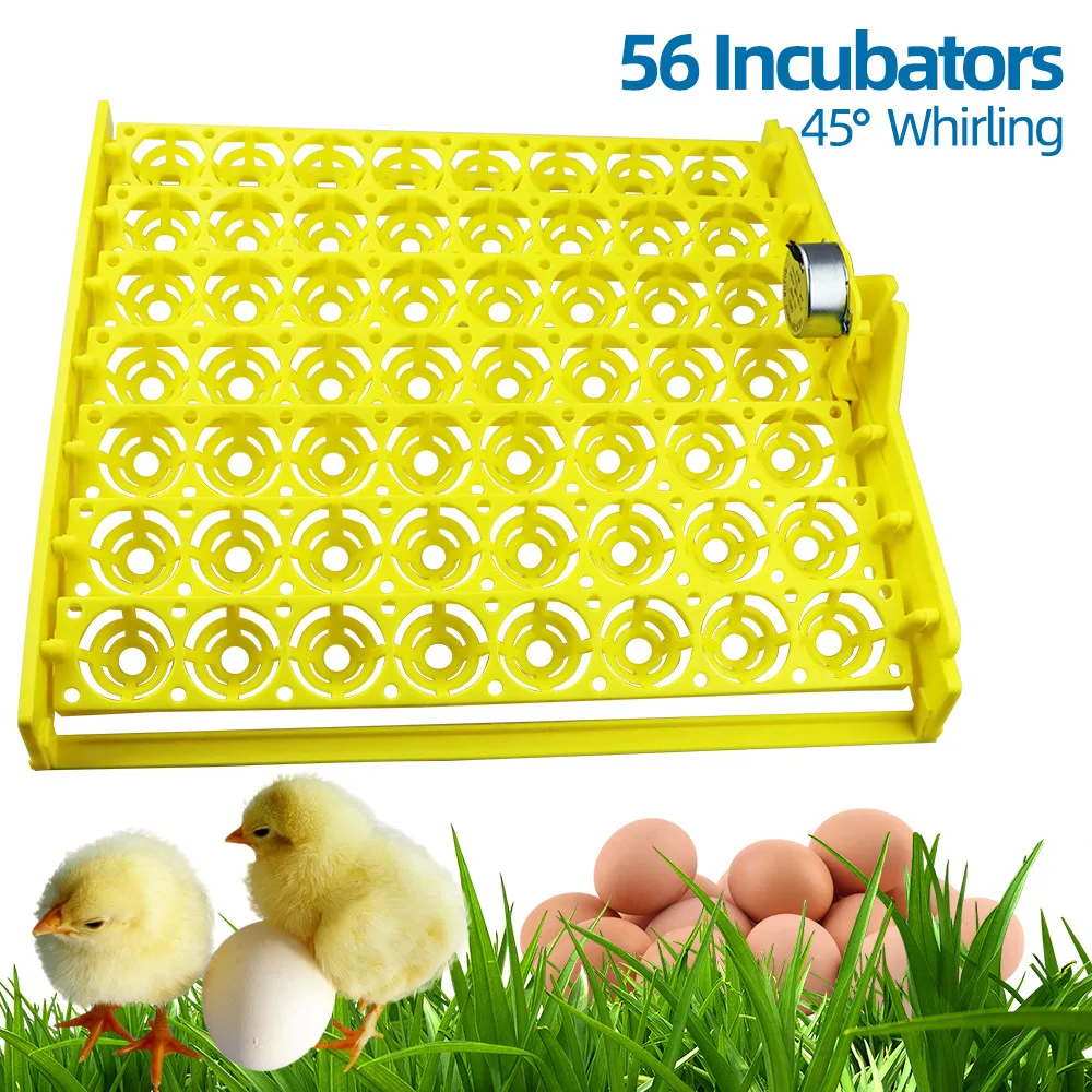 incubadora automática para aves