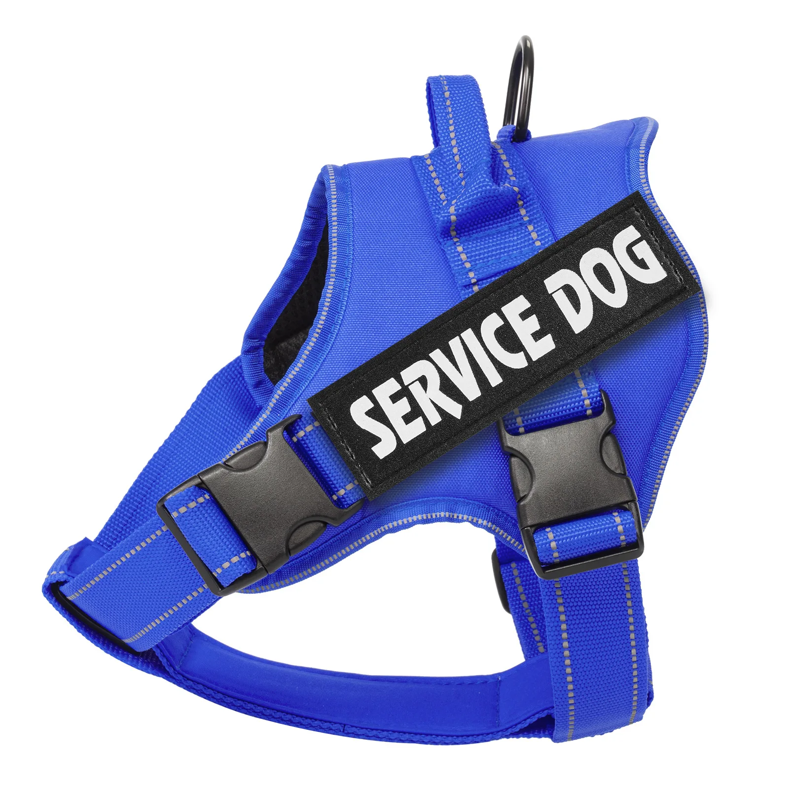 Coleira Ajustável para Cães com Nome e Telefone Personalizáveis - Imagem 6